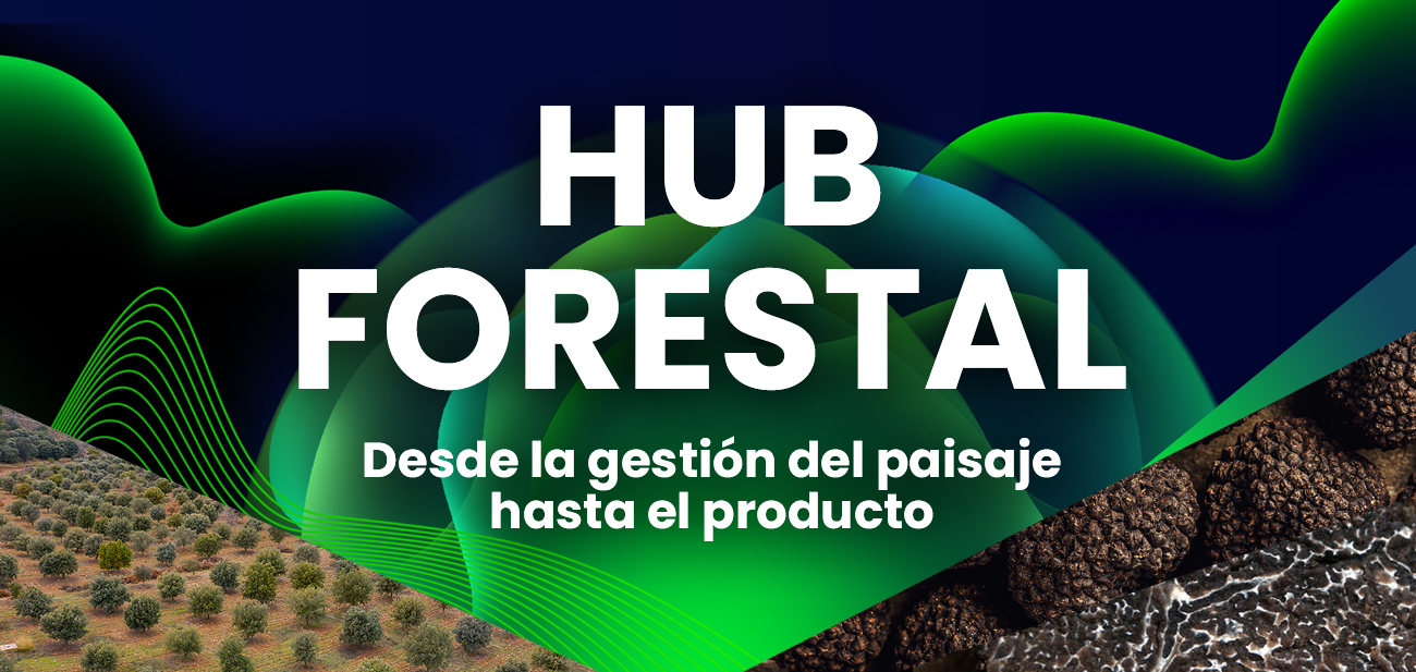 Homep_slide_2_ES