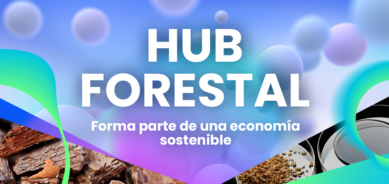 Homep_slide_3_ES