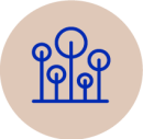 PINYONS_UnaVisio_icon_3